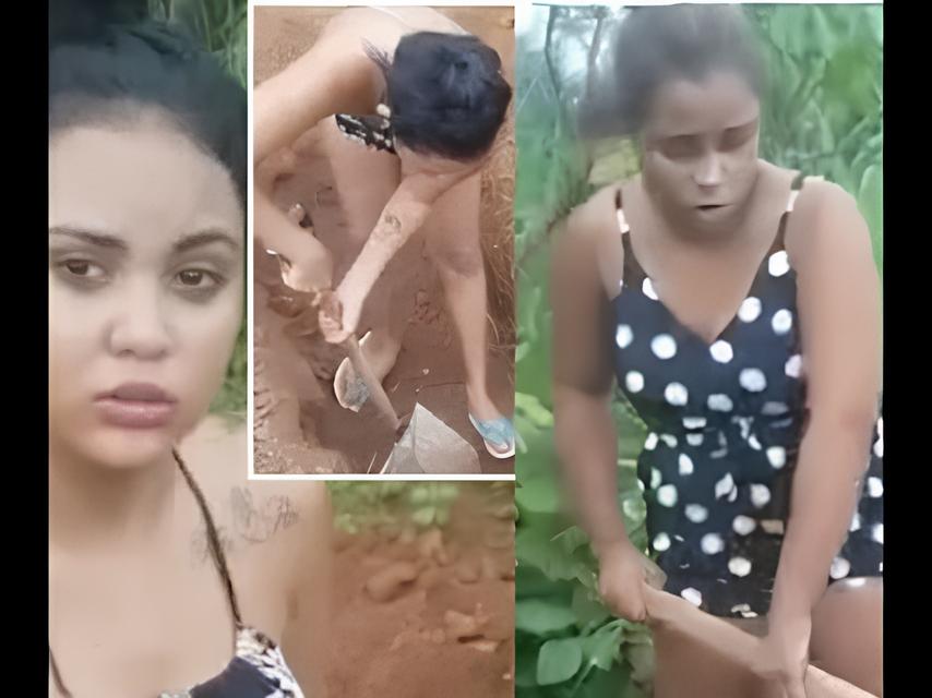 O Grito Silencioso: Como o Brasil Está Transformando a Luta Contra a Violência às Mulheres em Esperança e Ação 1 O Grito Silencioso Como o Brasil Est Transformando a Luta Contra a Viol ncia s Mulheres em Esperan a e A o