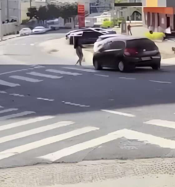 O Impacto de Um Segundo de Descuido Motorista Foge Ap s Atropelar Jovem em Faixa de Pedestre