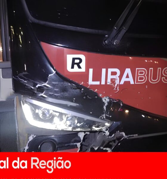 O Momento em que a Rotina Virou Trag dia Motorista Atropelado em Rodovia Revela o Pre o da Desaten o