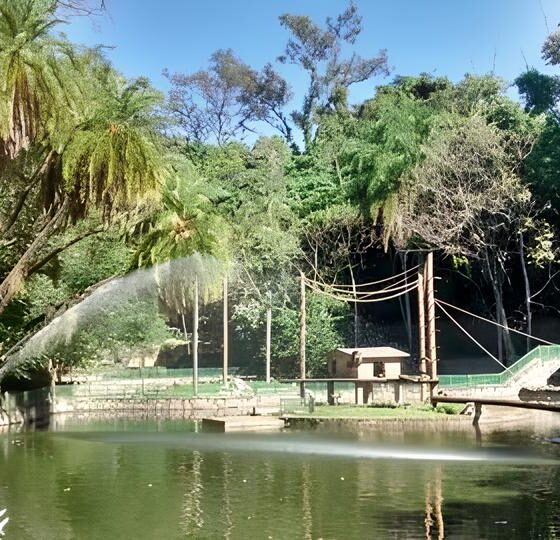 O Retorno do Aquário Municipal de Campinas: Um Tesouro Submerso Reabre Suas Portas 2 O Retorno do Aqu rio Municipal de Campinas Um Tesouro Submerso Reabre Suas Portas