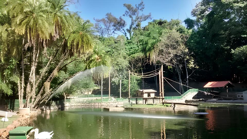 O Retorno do Aqu rio Municipal de Campinas Um Tesouro Submerso Reabre Suas Portas