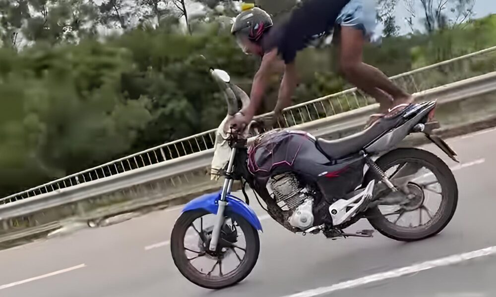 Perigo nas Rodovias Como Manobras Arriscadas Viraram Espet culo e Terminaram em Pris o