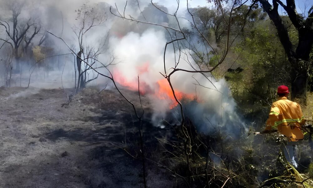 Piracicaba sob Alerta O Dia em que o Ar Seco Virou Not cia 13 de Agosto de 2025