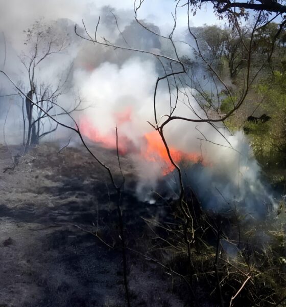 Piracicaba sob Alerta: O Dia em que o Ar Seco Virou Notícia – 13 de Agosto de 2025 2 Piracicaba sob Alerta O Dia em que o Ar Seco Virou Not cia 13 de Agosto de 2025