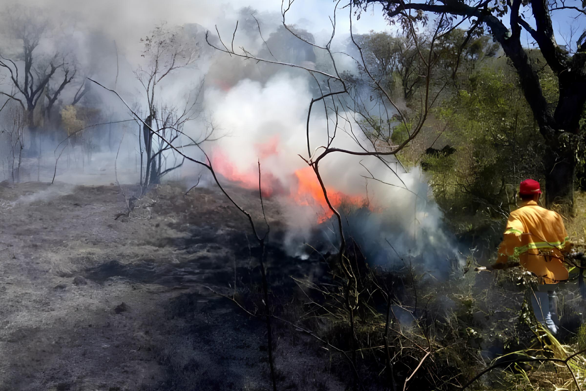 Piracicaba sob Alerta: O Dia em que o Ar Seco Virou Notícia – 13 de Agosto de 2025 1 Piracicaba sob Alerta O Dia em que o Ar Seco Virou Not cia 13 de Agosto de 2025