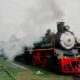 Por Que Viajar de Trem Pode Ser a Melhor Decis o da Sua Vida Descubra os Encantos dos Trilhos Brasileiros