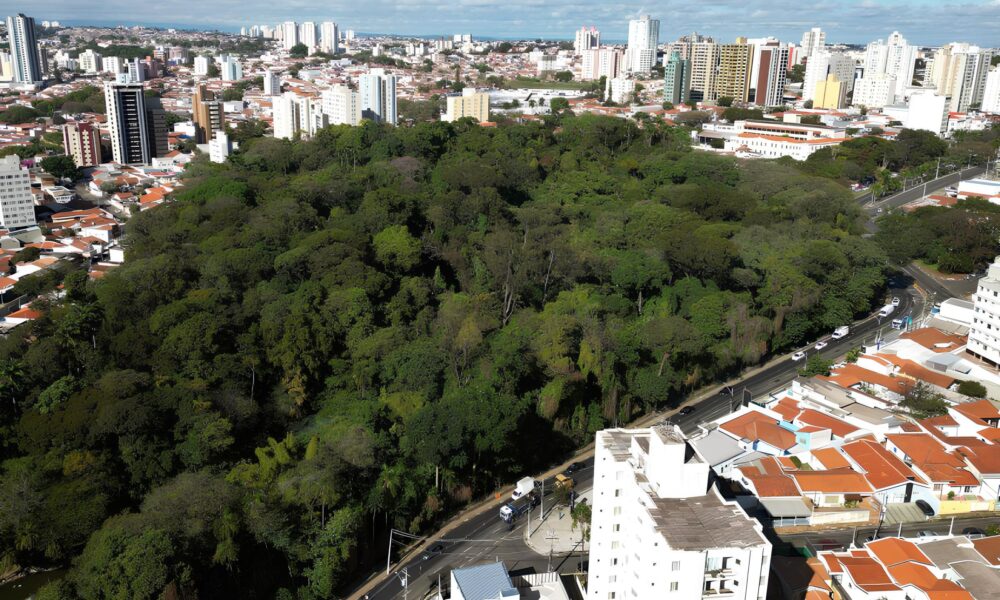 Por Que a Segunda Feira em Campinas Pode Ser Mais do Que Apenas Fria Uma An lise Profunda do Clima e Seus Impactos
