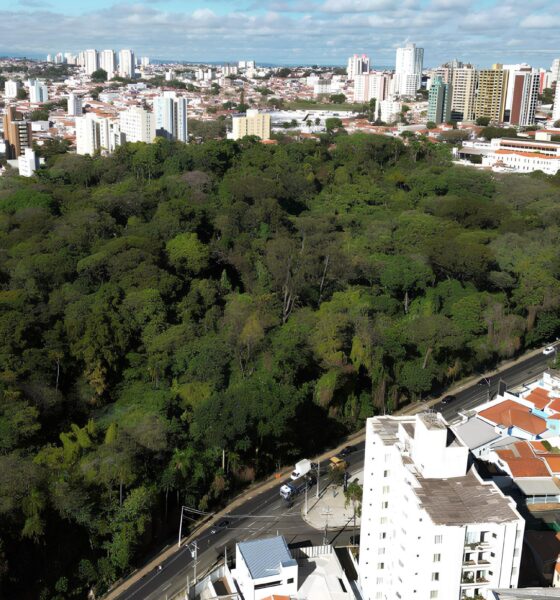 Por Que a Segunda-Feira em Campinas Pode Ser Mais do Que Apenas Fria: Uma Análise Profunda do Clima e Seus Impactos 2 Por Que a Segunda Feira em Campinas Pode Ser Mais do Que Apenas Fria Uma An lise Profunda do Clima e Seus Impactos