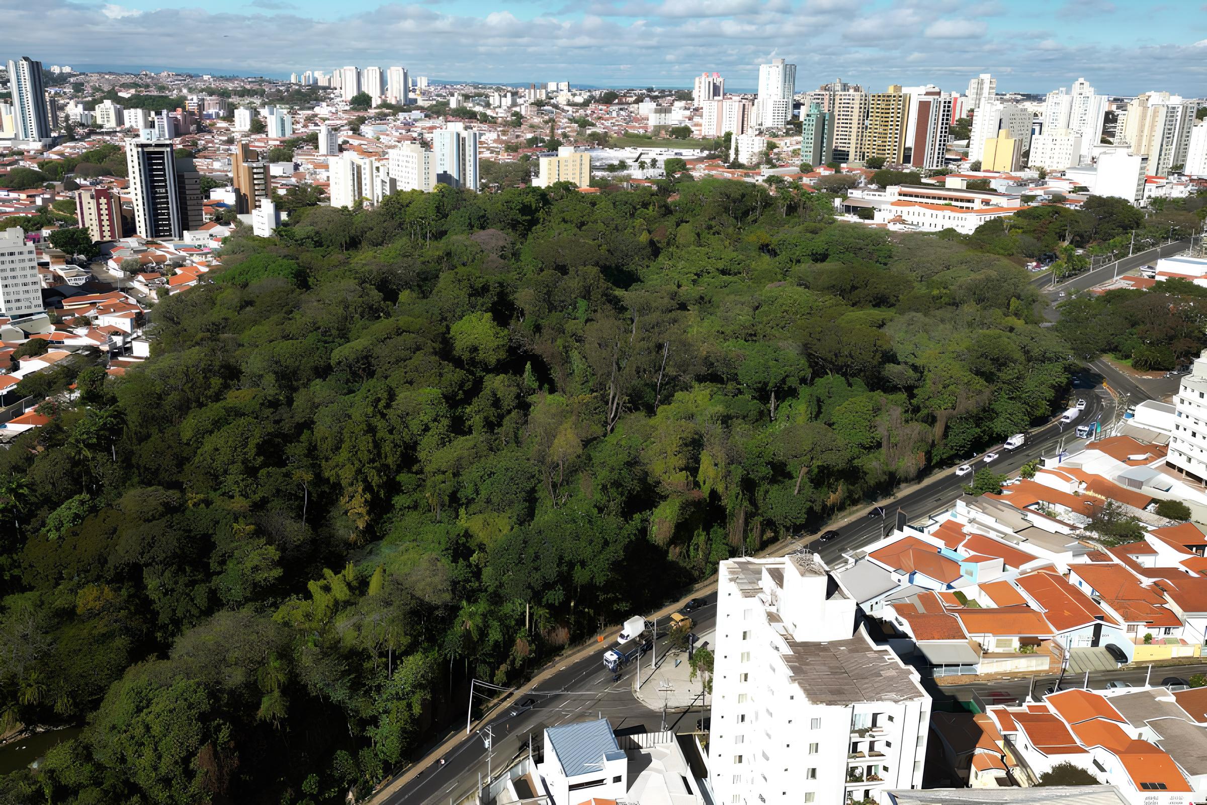 Por Que a Segunda-Feira em Campinas Pode Ser Mais do Que Apenas Fria: Uma Análise Profunda do Clima e Seus Impactos 1 Por Que a Segunda Feira em Campinas Pode Ser Mais do Que Apenas Fria Uma An lise Profunda do Clima e Seus Impactos