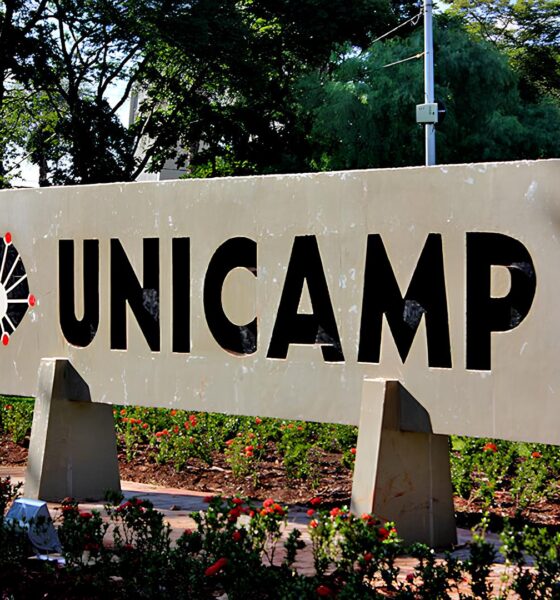 Por Que a Unicamp Está Abrindo 21 Vagas em Três Cidades? A Oportunidade que Você Não Pode Ignorar 2 Por Que a Unicamp Est Abrindo 21 Vagas em Tr s Cidades A Oportunidade que Voc N o Pode Ignorar