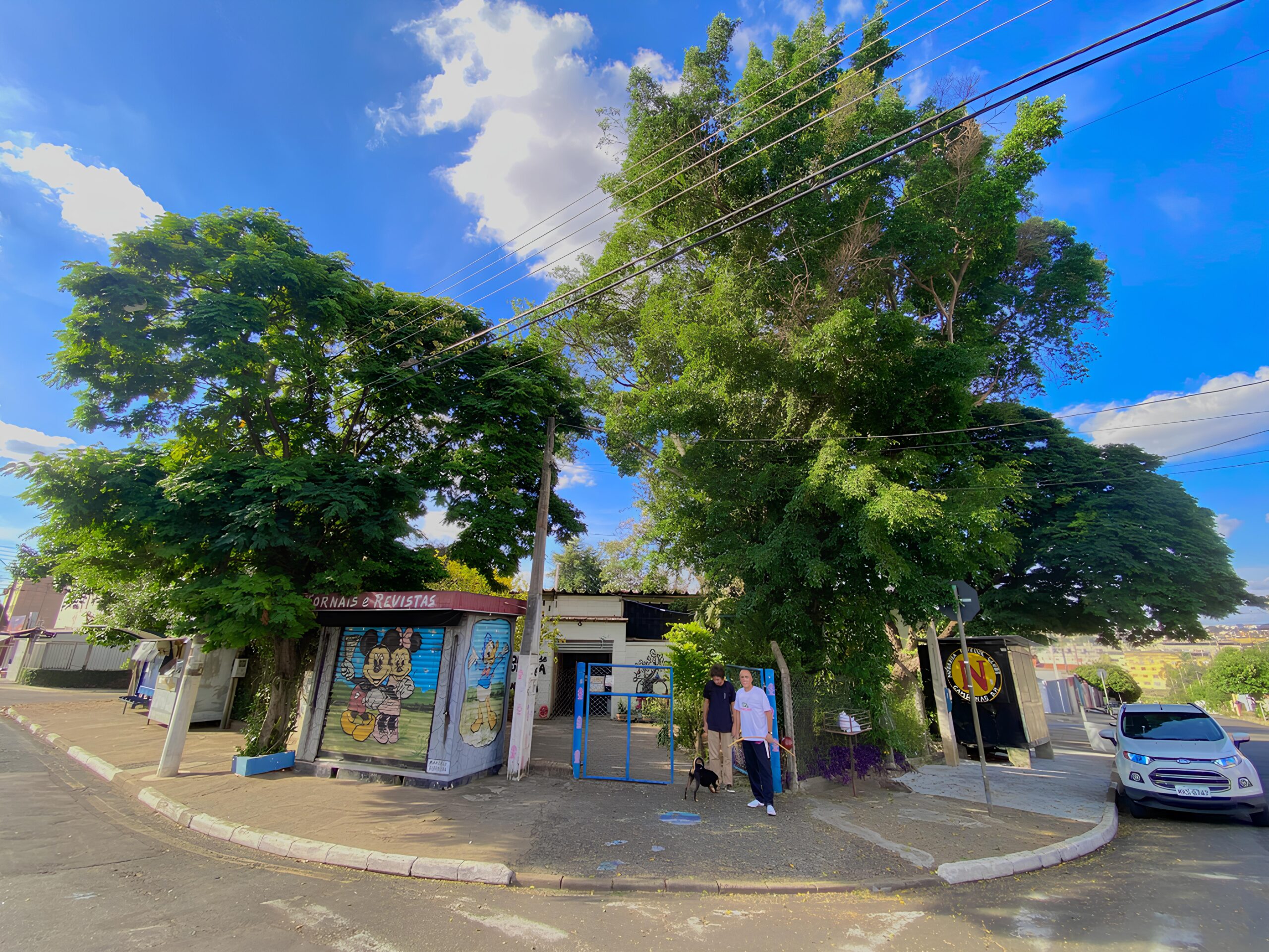 Por Tr s do Nariz Vermelho A Transforma o de Jovens em Artistas Circenses em Campinas scaled