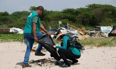 Por que Cubat o est no centro de uma luta ambiental pica O Caso do Pneu de Trator e o Futuro dos Manguezais
