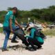 Por que Cubat o est no centro de uma luta ambiental pica O Caso do Pneu de Trator e o Futuro dos Manguezais