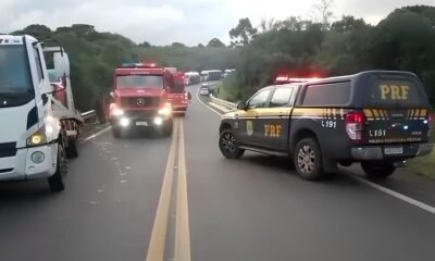 Quando a Sobreviv ncia Vira Crime A Hist ria do Saque ao Caminh o de Frango e o Reflexo da Desigualdade no Brasil