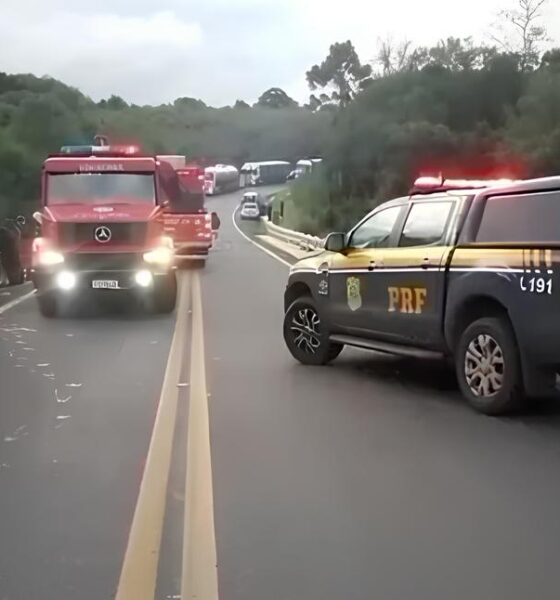 Quando a Sobrevivência Vira Crime: A História do Saque ao Caminhão de Frango e o Reflexo da Desigualdade no Brasil 2 Quando a Sobreviv ncia Vira Crime A Hist ria do Saque ao Caminh o de Frango e o Reflexo da Desigualdade no Brasil