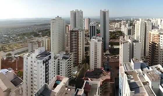 Quando o Fogo Chegou Porta A Hist ria de Oito Sobreviventes de Quatro Patas