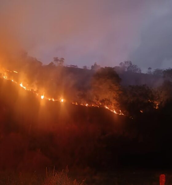 Quando o Fogo Conquistou Caraguatatuba: A História de um Incêndio que Deixou Marcas Profundas 2 Quando o Fogo Conquistou Caraguatatuba A Hist ria de um Inc ndio que Deixou Marcas Profundas