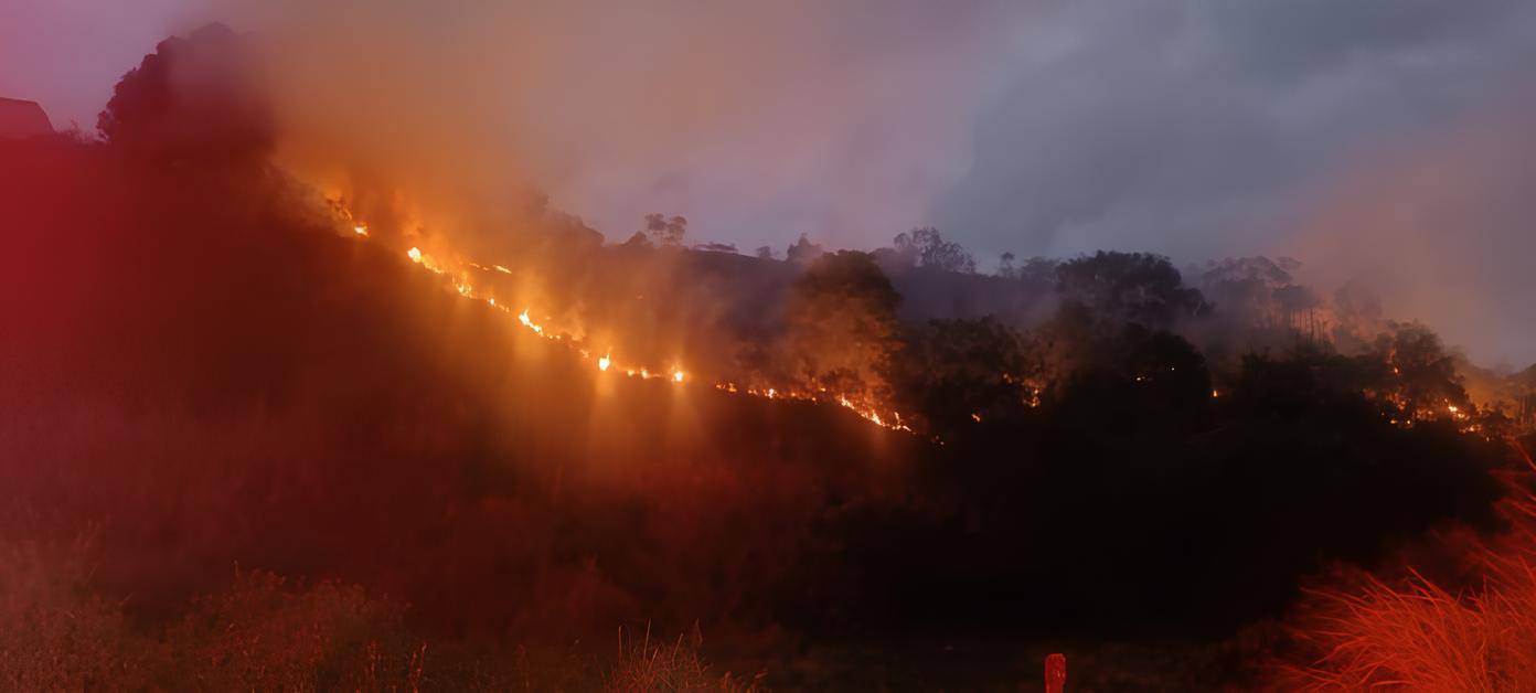Quando o Fogo Conquistou Caraguatatuba: A História de um Incêndio que Deixou Marcas Profundas 1
