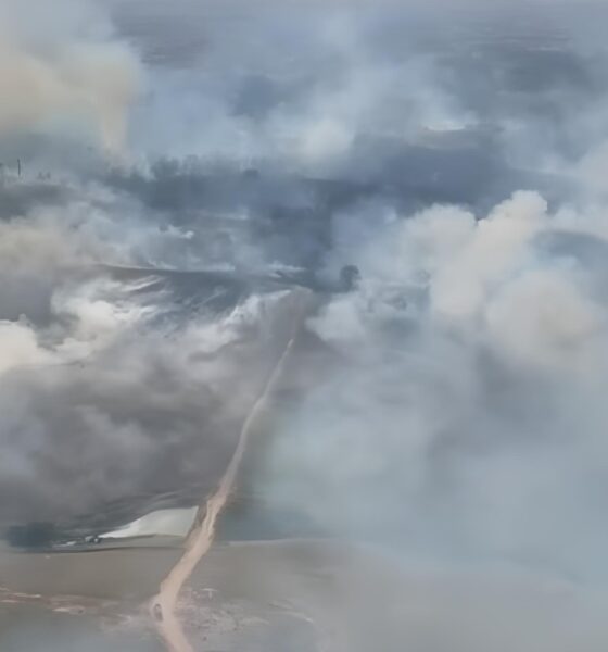 Quando o Fogo N o Para A Batalha de Jaguari na Contra as Chamas que Uniram uma Regi o