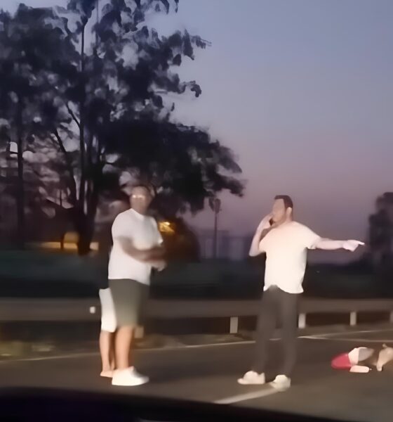 Tragédia na SP-340: A História Não Contada de Vera, a Mulher Que Virou Estatística em Mogi Mirim 2 Trag dia na SP 340 A Hist ria N o Contada de Vera a Mulher Que Virou Estat stica em Mogi Mirim