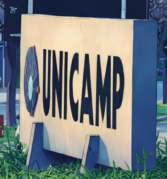 Unicamp Abre Concurso Público com Salários de Até R$ 9,7 Mil: A Porta de Entrada para uma Carreira Transformadora 2 Unicamp Abre Concurso P blico com Sal rios de At R 9 7 Mil A Porta de Entrada para uma Carreira Transformadora