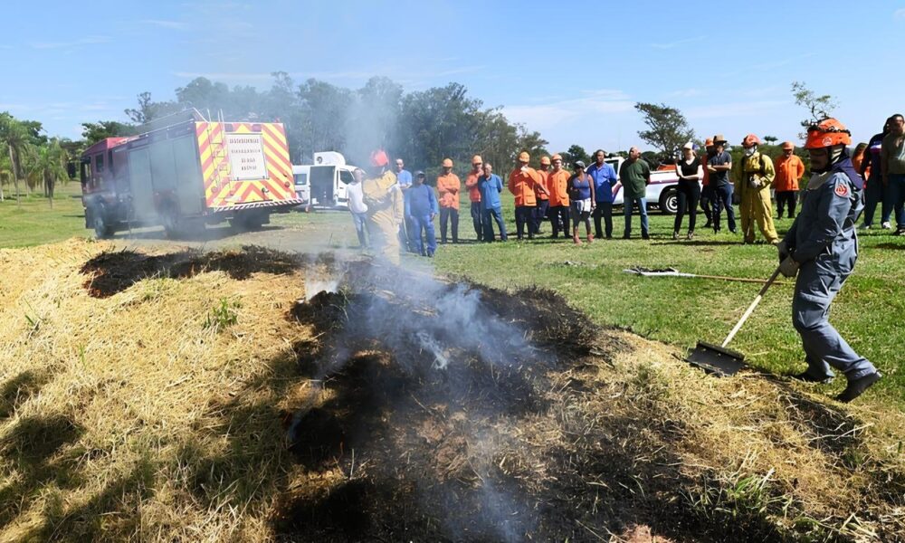 A Batalha Contra o Fogo Regi o de Campinas Entra em Alerta M ximo para Inc ndios Florestais em 2025