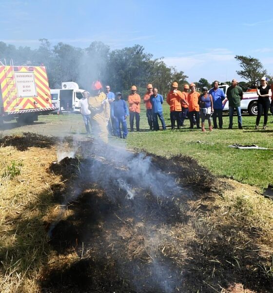 A Batalha Contra o Fogo: Região de Campinas Entra em Alerta Máximo para Incêndios Florestais em 2025 2 A Batalha Contra o Fogo Regi o de Campinas Entra em Alerta M ximo para Inc ndios Florestais em 2025