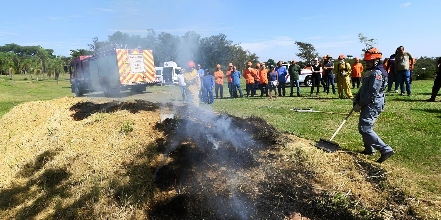 A Batalha Contra o Fogo: Região de Campinas Entra em Alerta Máximo para Incêndios Florestais em 2025 1