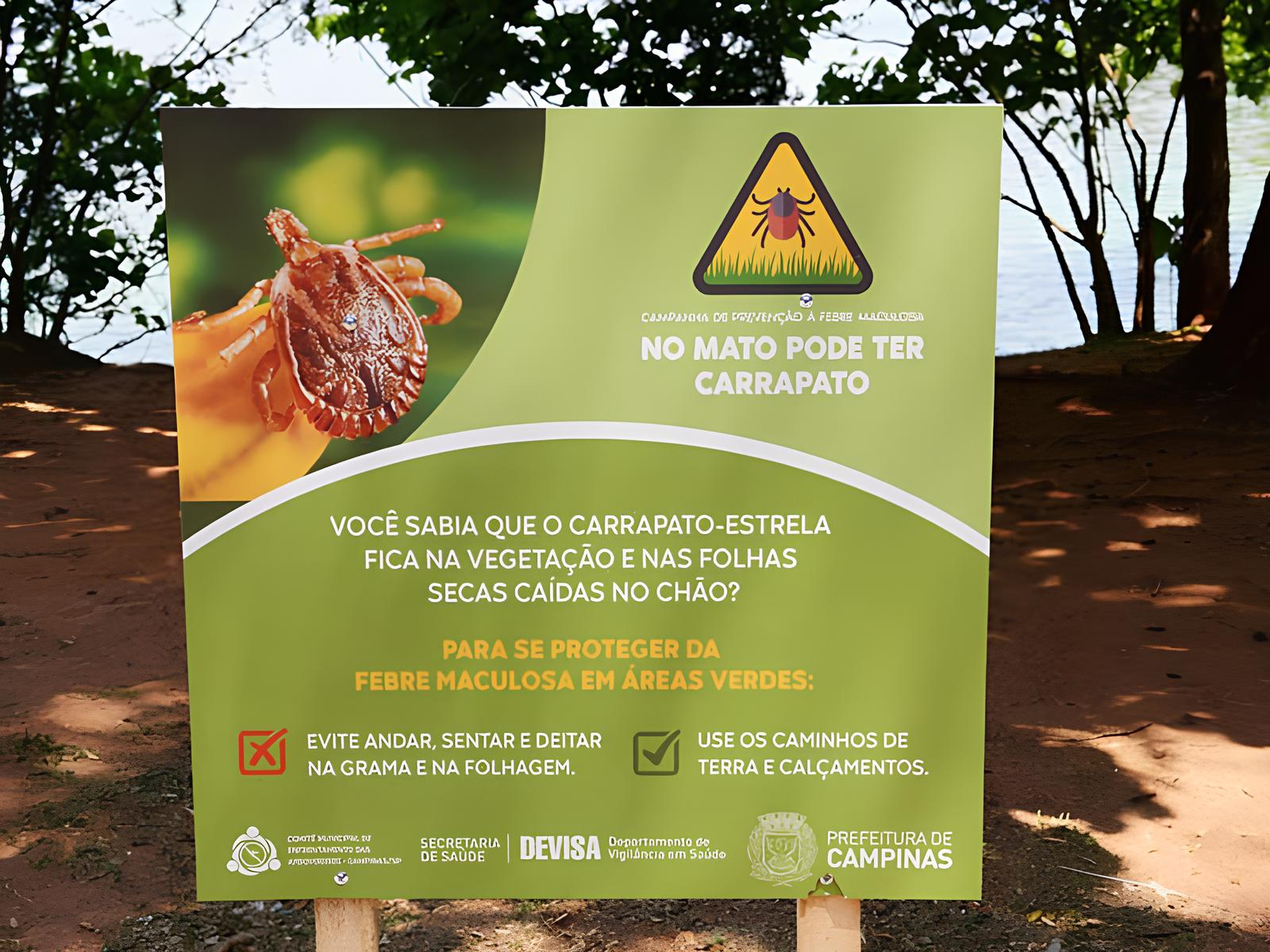 A Febre Maculosa Est de Volta A Tr gica Hist ria de Um Jovem em Vinhedo e o Alerta para Todos N s