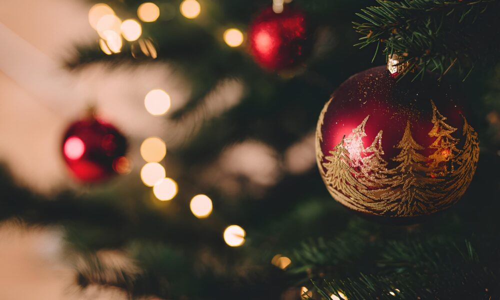 Campinas se Ilumina O Natal Caminhos dos Sonhos 2025 Mais que uma Celebra o uma Experi ncia Inesquec vel
