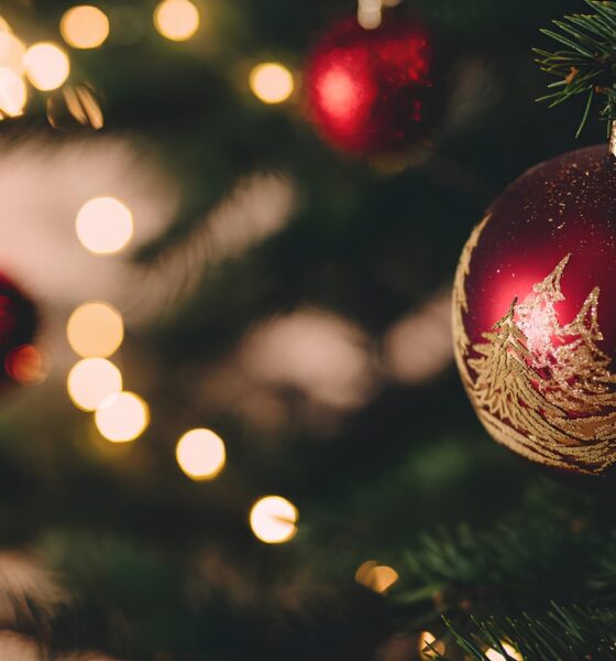 Campinas se Ilumina O Natal Caminhos dos Sonhos 2025 Mais que uma Celebra o uma Experi ncia Inesquec vel