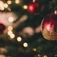Campinas se Ilumina O Natal Caminhos dos Sonhos 2025 Mais que uma Celebra o uma Experi ncia Inesquec vel