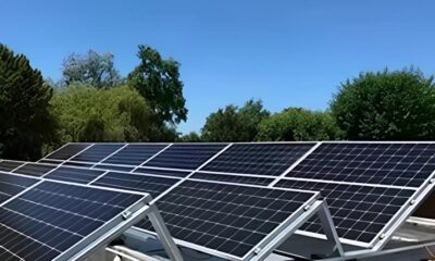 Como a Inova o Cient fica Pode Salvar o Futuro da Agricultura e do Mercado de Energia