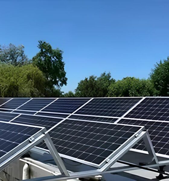 Como a Inova o Cient fica Pode Salvar o Futuro da Agricultura e do Mercado de Energia