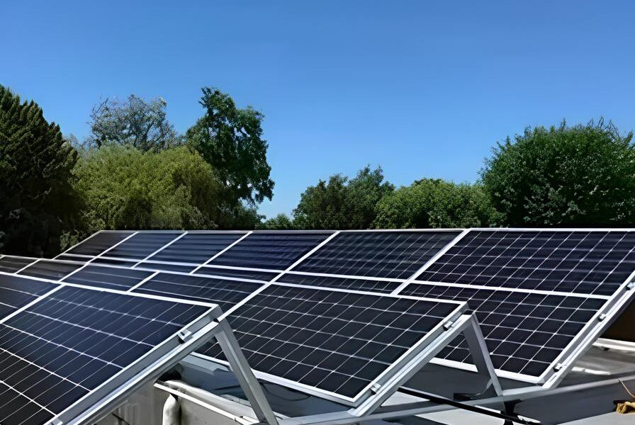 Como a Inova o Cient fica Pode Salvar o Futuro da Agricultura e do Mercado de Energia