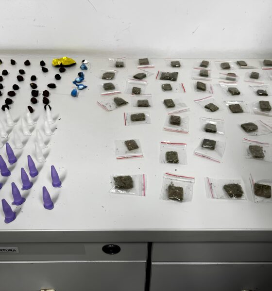 Como um Cão Farejador Está Revolucionando a Luta Contra o Tráfico de Drogas em Valinhos 2 Como um C o Farejador Est Revolucionando a Luta Contra o Tr fico de Drogas em Valinhos