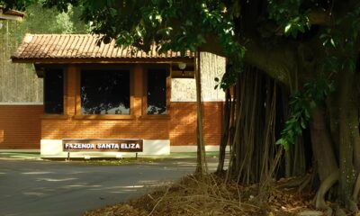 De M os Dadas com o Futuro Como S o Paulo Revolucionou a Produ o Artesanal e Abriu Portas para 267 Munic pios