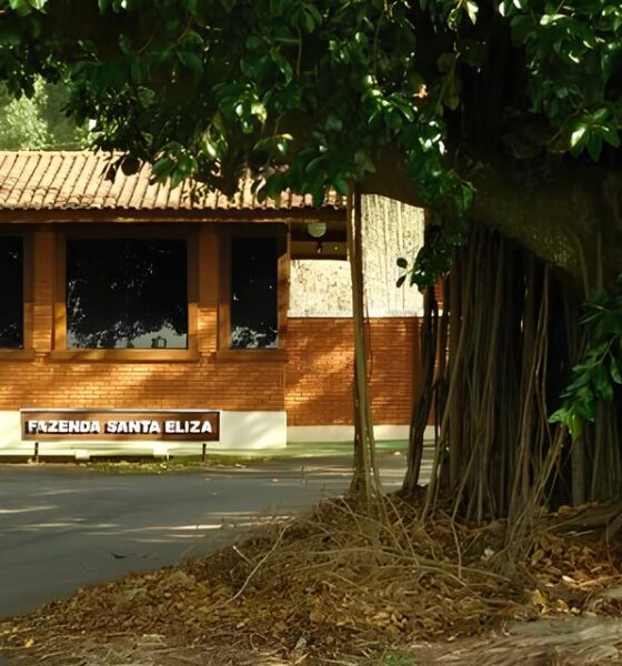 De M os Dadas com o Futuro Como S o Paulo Revolucionou a Produ o Artesanal e Abriu Portas para 267 Munic pios