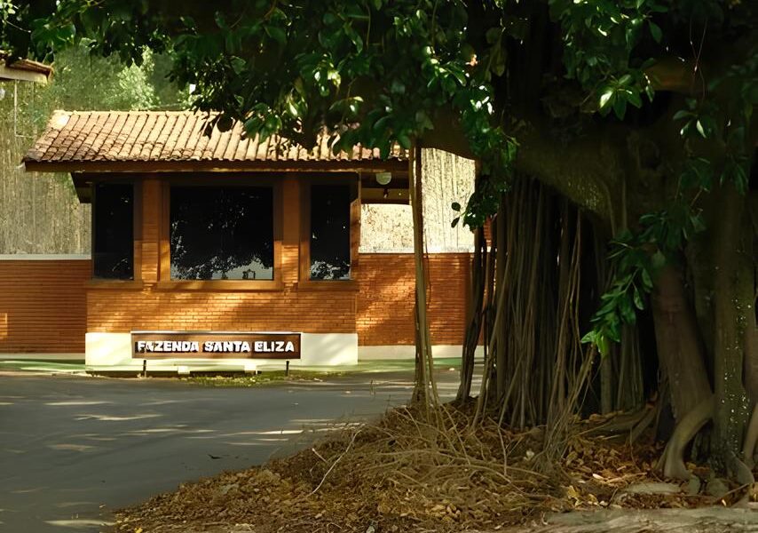 De M os Dadas com o Futuro Como S o Paulo Revolucionou a Produ o Artesanal e Abriu Portas para 267 Munic pios