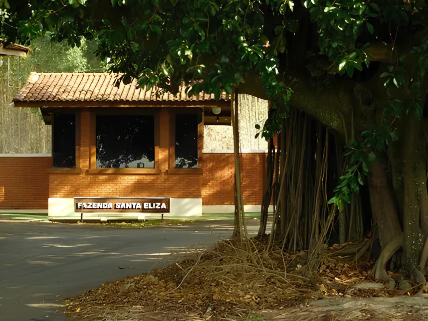 De M os Dadas com o Futuro Como S o Paulo Revolucionou a Produ o Artesanal e Abriu Portas para 267 Munic pios