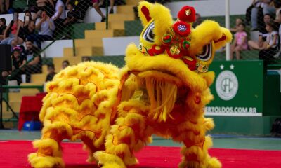 Festival da Lua A Celebra o Chinesa que Conecta Tradi o Sustentabilidade e Cultura em Campinas