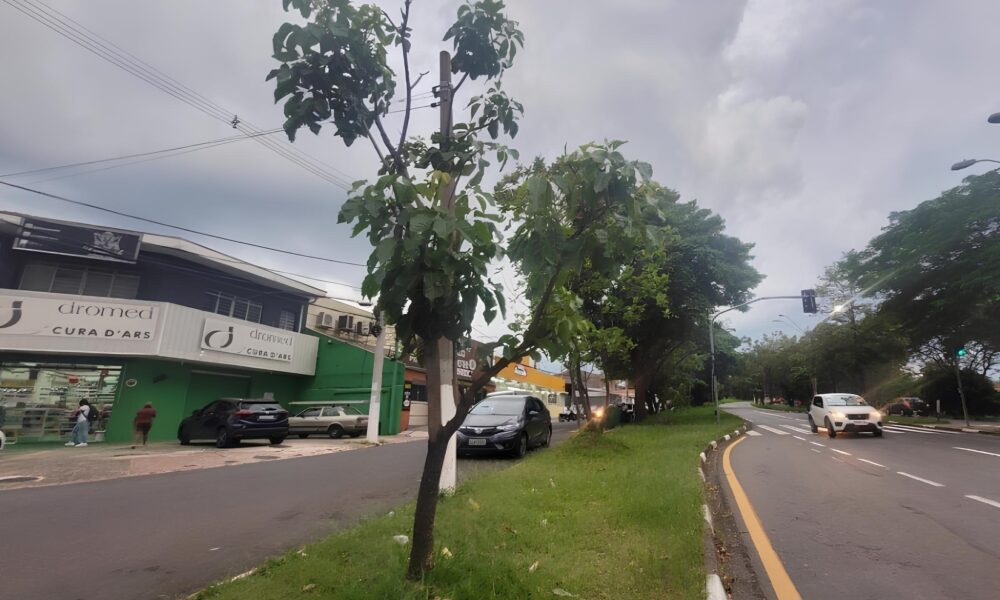 Frente Fria Chega com Tudo Como as Tempestades e o Frio Abrupto Est o Transformando a RMC em 2025