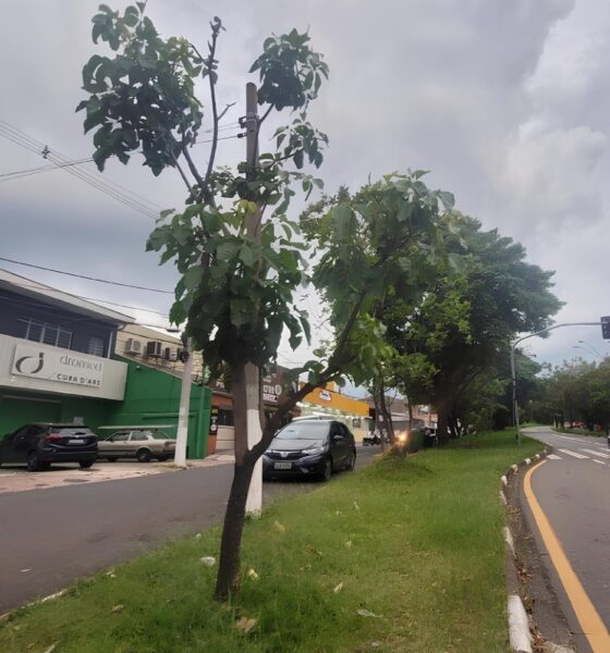 Frente Fria Chega com Tudo Como as Tempestades e o Frio Abrupto Est o Transformando a RMC em 2025