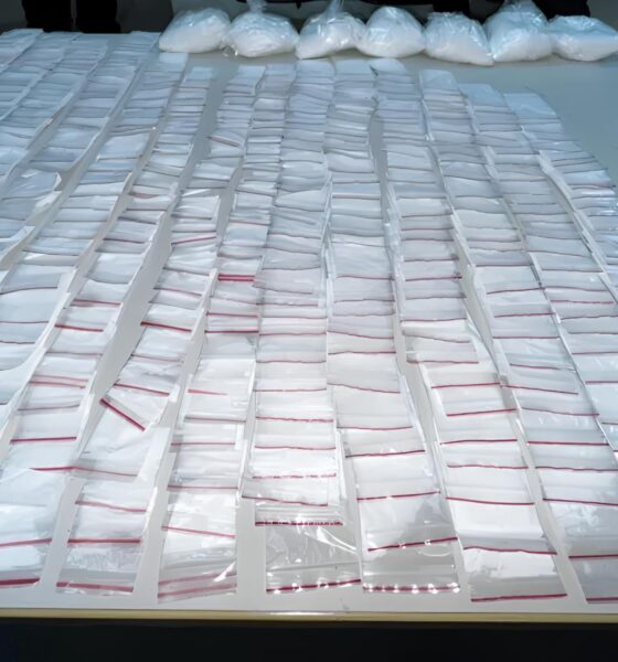 Guarda de Valinhos Desmascara Esconderijo Milion rio O Dia em que um C o Farejador Virou Her i Local