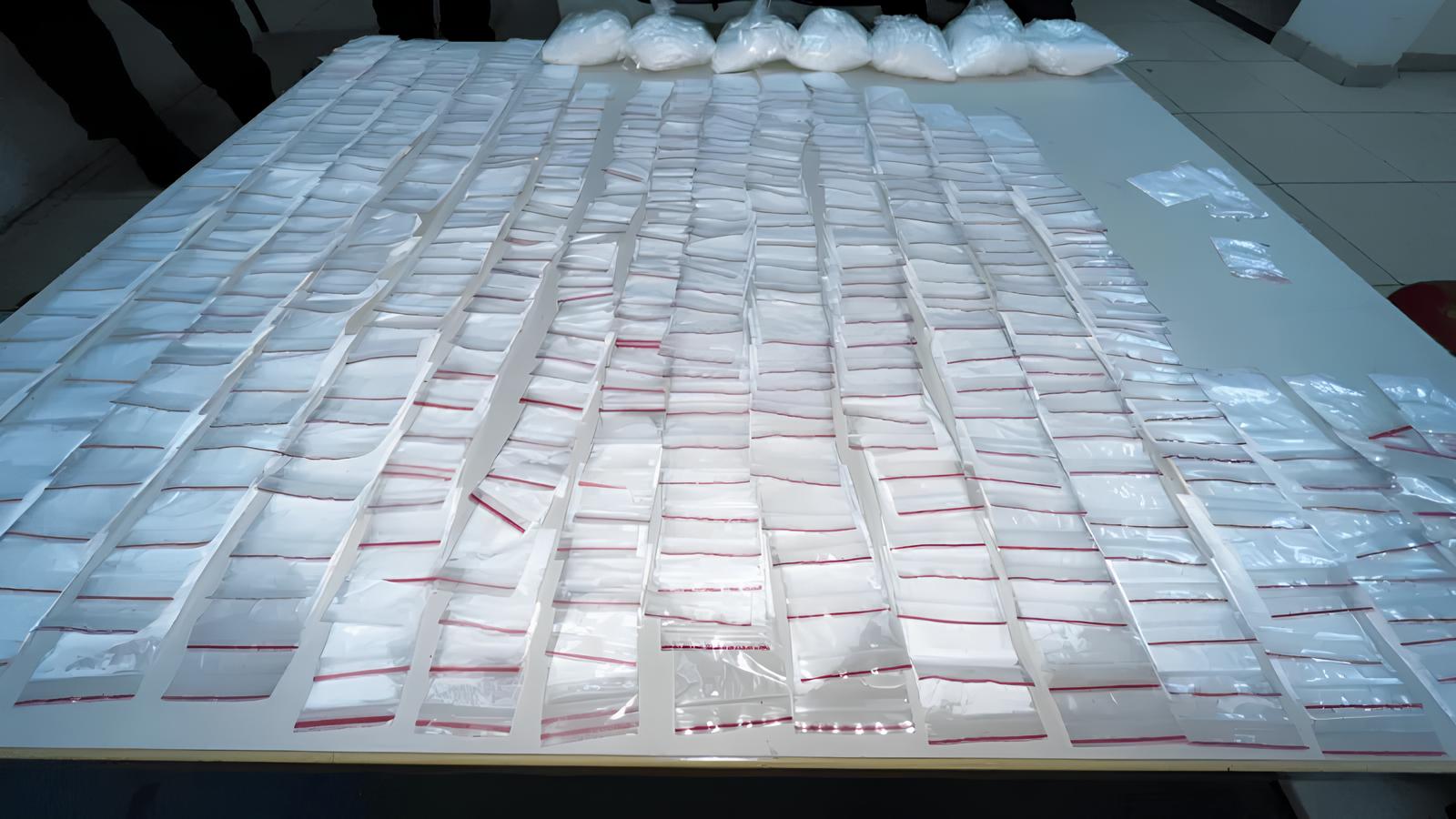 Guarda de Valinhos Desmascara Esconderijo Milion rio O Dia em que um C o Farejador Virou Her i Local