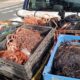 O Caso dos 600 kg de Fios de Cobre: A Operação que Expos o Submundo do Mercado Clandestino em Campinas 7 O Caso dos 600 kg de Fios de Cobre A Opera o que Expos o Submundo do Mercado Clandestino em Campinas