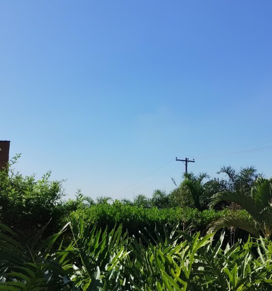 O Fim de Semana Perfeito em Campinas: Tempo Seco, Céu Azul e Calor de 28°C – Mas o Que Isso Significa Para Você? 2 O Fim de Semana Perfeito em Campinas Tempo Seco C u Azul e Calor de 28 C Mas o Que Isso Significa Para Voc