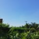 O Fim de Semana Perfeito em Campinas Tempo Seco C u Azul e Calor de 28 C Mas o Que Isso Significa Para Voc