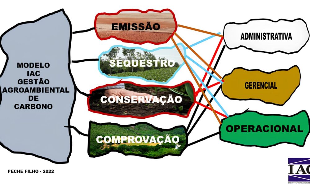 O Futuro da Agricultura Sustent vel Como o Modelo IAC Est Transformando a Gest o do Carbono nas Propriedades Rurais