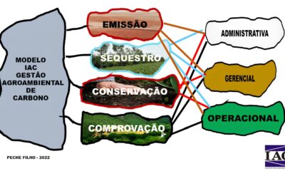 O Futuro da Agricultura Sustent vel Como o Modelo IAC Est Transformando a Gest o do Carbono nas Propriedades Rurais